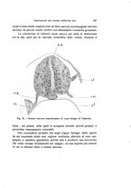 giornale/TO00209791/1937/unico/00000367