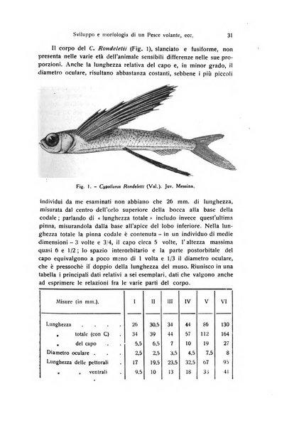 Archivio zoologico italiano pubblicato sotto gli auspicii della Unione Zoologica