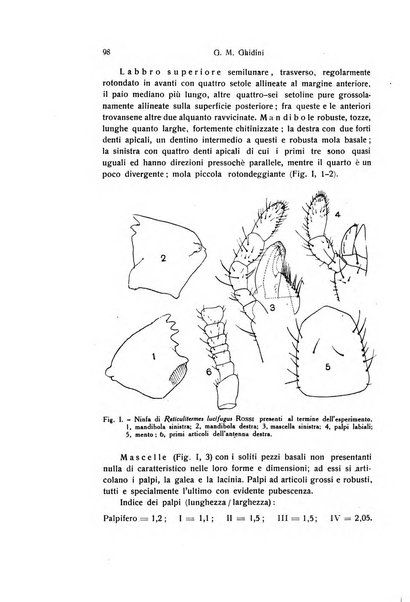 Archivio zoologico italiano pubblicato sotto gli auspicii della Unione Zoologica