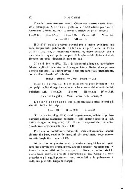 Archivio zoologico italiano pubblicato sotto gli auspicii della Unione Zoologica