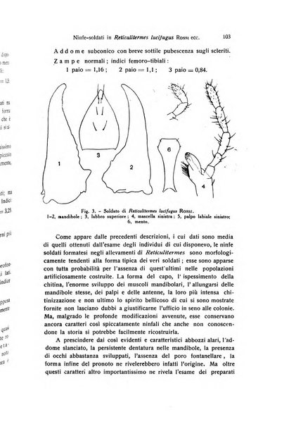 Archivio zoologico italiano pubblicato sotto gli auspicii della Unione Zoologica