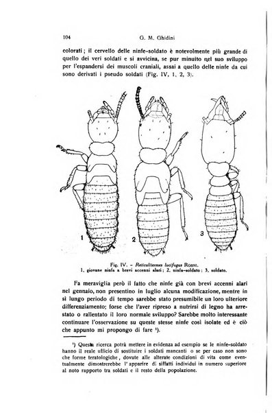 Archivio zoologico italiano pubblicato sotto gli auspicii della Unione Zoologica