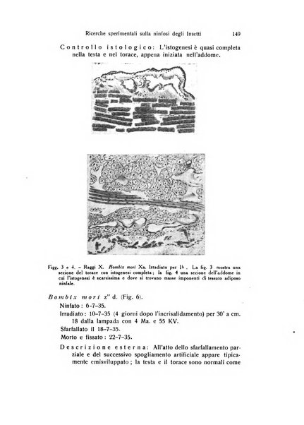 Archivio zoologico italiano pubblicato sotto gli auspicii della Unione Zoologica