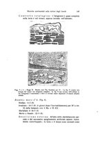 giornale/TO00209791/1938/unico/00000159