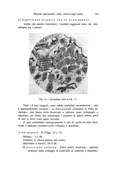 Archivio zoologico italiano pubblicato sotto gli auspicii della Unione Zoologica