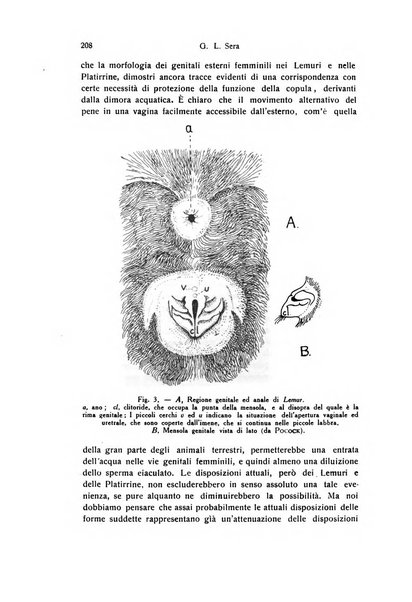 Archivio zoologico italiano pubblicato sotto gli auspicii della Unione Zoologica