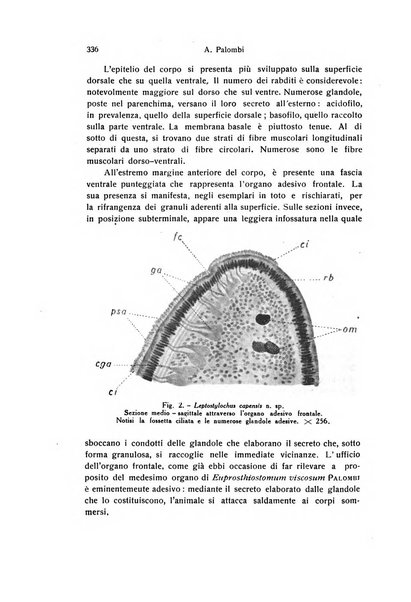 Archivio zoologico italiano pubblicato sotto gli auspicii della Unione Zoologica