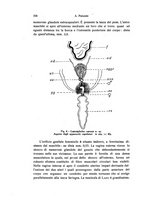 giornale/TO00209791/1938/unico/00000348