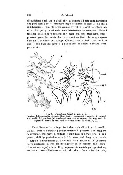 Archivio zoologico italiano pubblicato sotto gli auspicii della Unione Zoologica