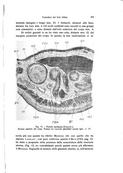 Archivio zoologico italiano pubblicato sotto gli auspicii della Unione Zoologica