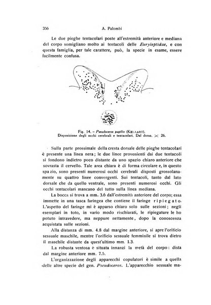 Archivio zoologico italiano pubblicato sotto gli auspicii della Unione Zoologica