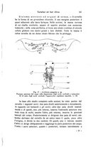 giornale/TO00209791/1938/unico/00000371