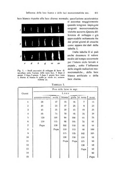 Archivio zoologico italiano pubblicato sotto gli auspicii della Unione Zoologica