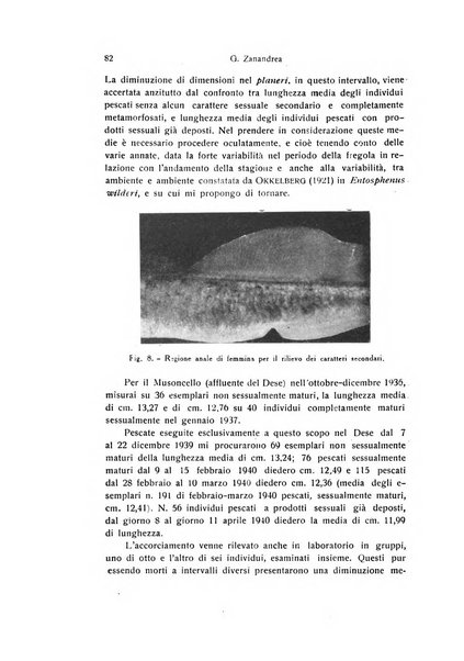 Archivio zoologico italiano pubblicato sotto gli auspicii della Unione Zoologica