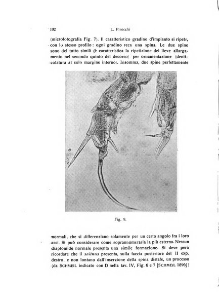 Archivio zoologico italiano pubblicato sotto gli auspicii della Unione Zoologica