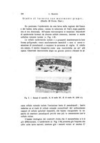 giornale/TO00209791/1941/unico/00000218