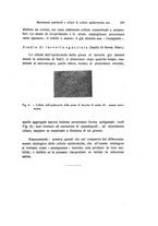 giornale/TO00209791/1941/unico/00000219