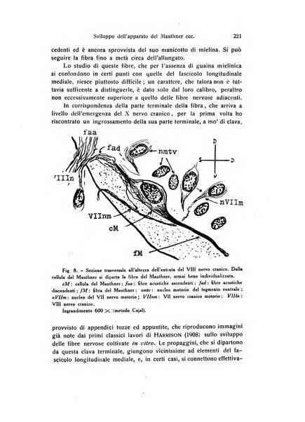 Archivio zoologico italiano pubblicato sotto gli auspicii della Unione Zoologica