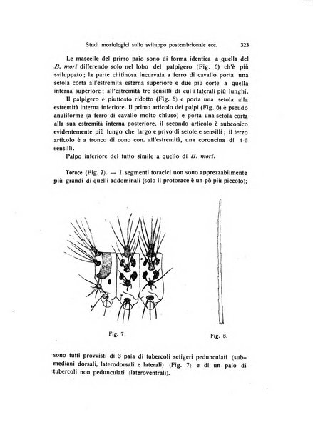 Archivio zoologico italiano pubblicato sotto gli auspicii della Unione Zoologica