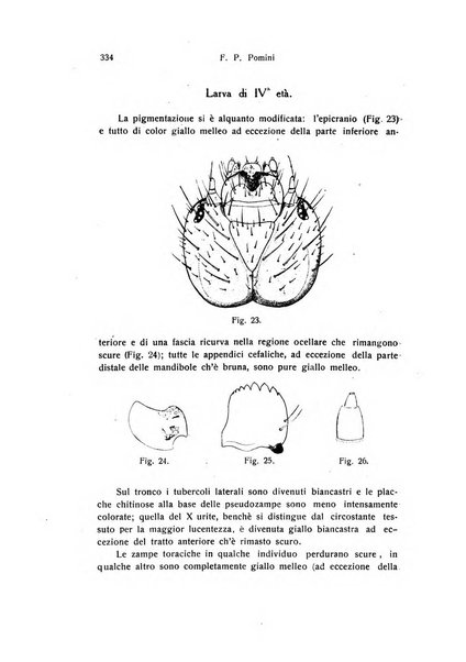 Archivio zoologico italiano pubblicato sotto gli auspicii della Unione Zoologica