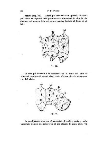 Archivio zoologico italiano pubblicato sotto gli auspicii della Unione Zoologica