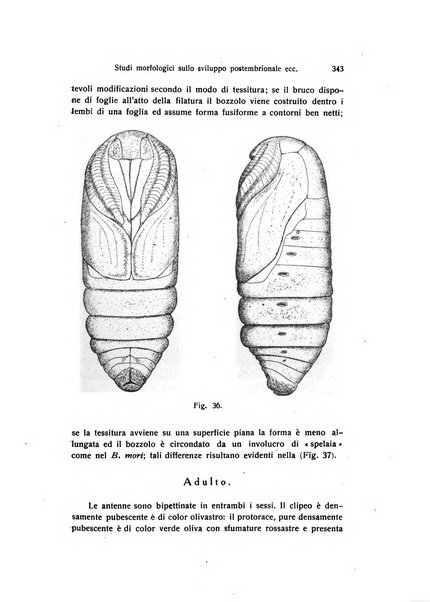 Archivio zoologico italiano pubblicato sotto gli auspicii della Unione Zoologica