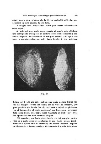 Archivio zoologico italiano pubblicato sotto gli auspicii della Unione Zoologica