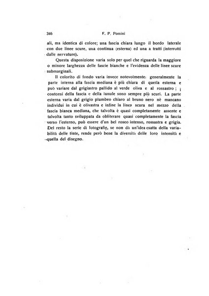 Archivio zoologico italiano pubblicato sotto gli auspicii della Unione Zoologica