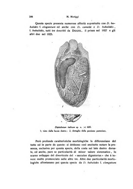 Archivio zoologico italiano pubblicato sotto gli auspicii della Unione Zoologica