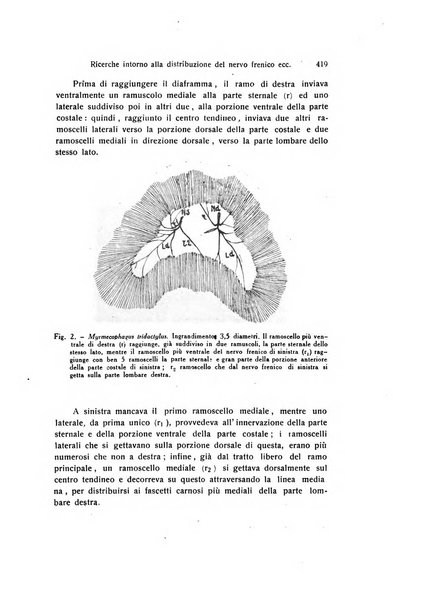 Archivio zoologico italiano pubblicato sotto gli auspicii della Unione Zoologica