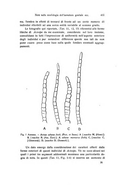 Archivio zoologico italiano pubblicato sotto gli auspicii della Unione Zoologica