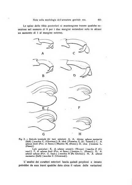 Archivio zoologico italiano pubblicato sotto gli auspicii della Unione Zoologica