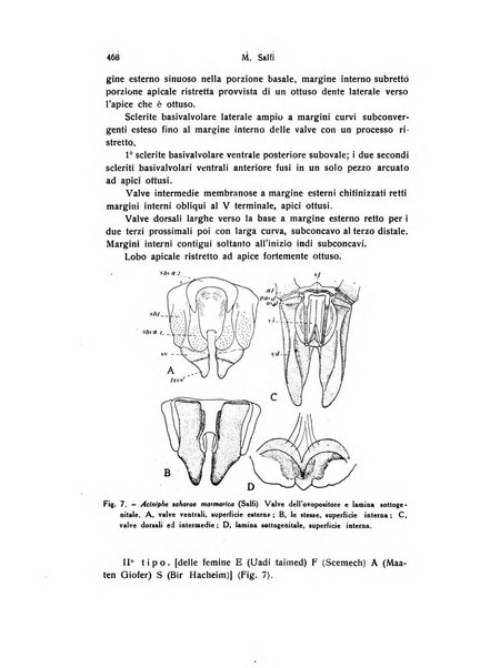 Archivio zoologico italiano pubblicato sotto gli auspicii della Unione Zoologica