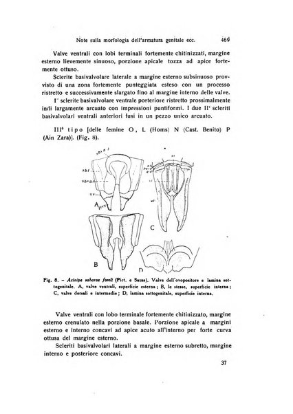 Archivio zoologico italiano pubblicato sotto gli auspicii della Unione Zoologica