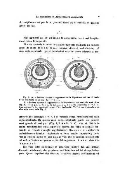 Archivio zoologico italiano pubblicato sotto gli auspicii della Unione Zoologica