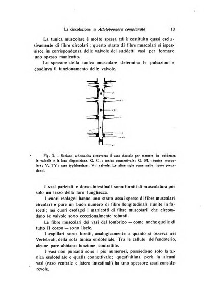 Archivio zoologico italiano pubblicato sotto gli auspicii della Unione Zoologica