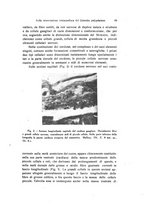 giornale/TO00209791/1942/unico/00000061