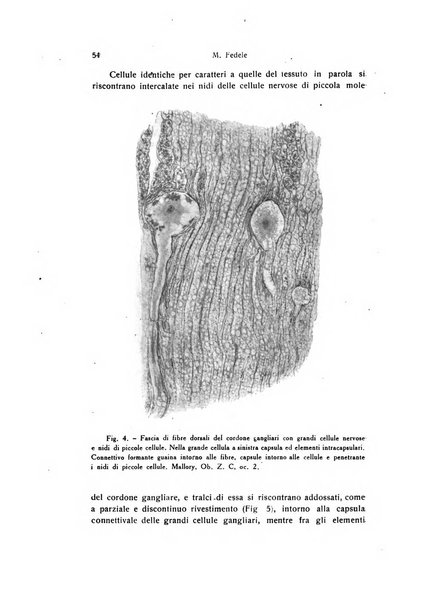 Archivio zoologico italiano pubblicato sotto gli auspicii della Unione Zoologica