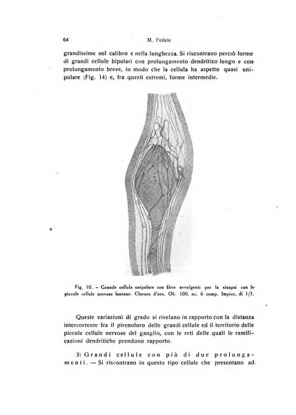 Archivio zoologico italiano pubblicato sotto gli auspicii della Unione Zoologica