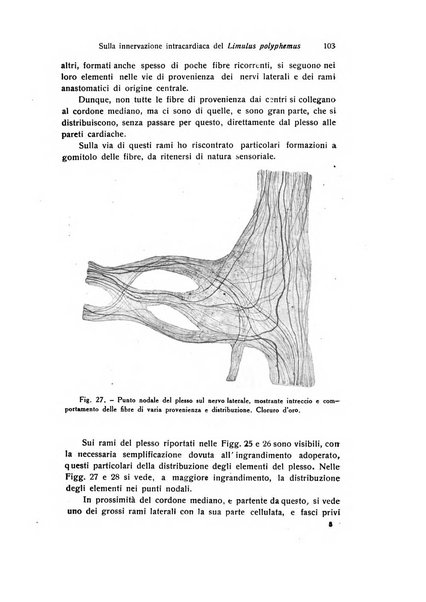 Archivio zoologico italiano pubblicato sotto gli auspicii della Unione Zoologica