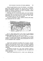 giornale/TO00209791/1942/unico/00000117