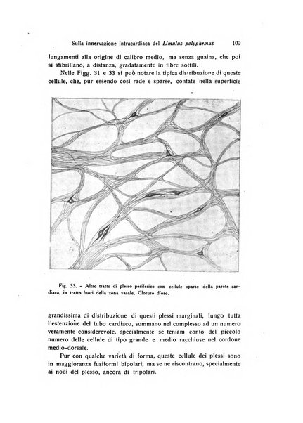 Archivio zoologico italiano pubblicato sotto gli auspicii della Unione Zoologica