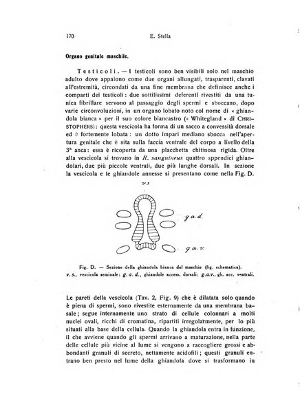 Archivio zoologico italiano pubblicato sotto gli auspicii della Unione Zoologica