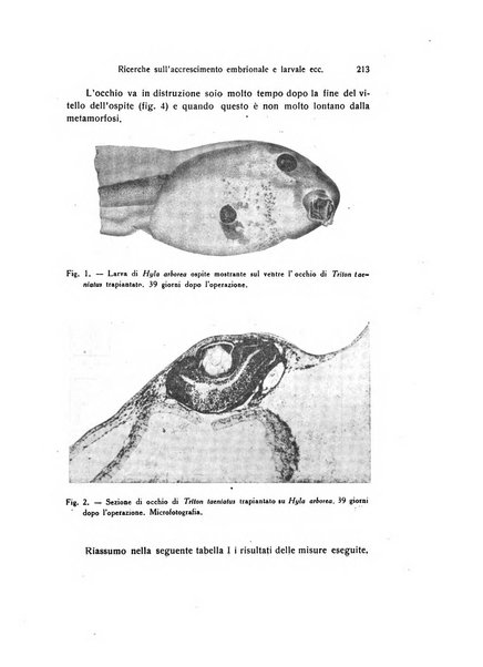 Archivio zoologico italiano pubblicato sotto gli auspicii della Unione Zoologica