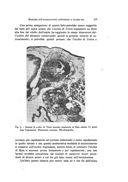 Archivio zoologico italiano pubblicato sotto gli auspicii della Unione Zoologica