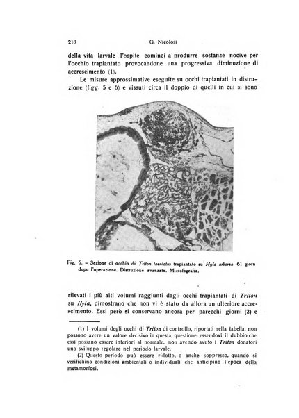 Archivio zoologico italiano pubblicato sotto gli auspicii della Unione Zoologica