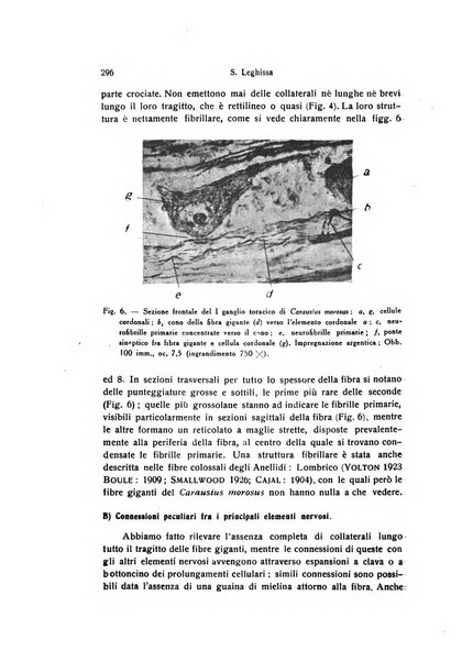 Archivio zoologico italiano pubblicato sotto gli auspicii della Unione Zoologica