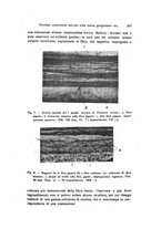 giornale/TO00209791/1942/unico/00000309