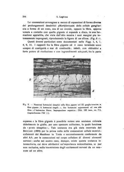 Archivio zoologico italiano pubblicato sotto gli auspicii della Unione Zoologica