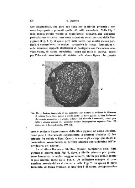 Archivio zoologico italiano pubblicato sotto gli auspicii della Unione Zoologica